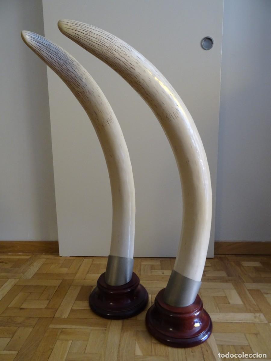 Antig&uuml;edades: PAREJA DE COLMILLOS DE ELEFANTE - Foto 2