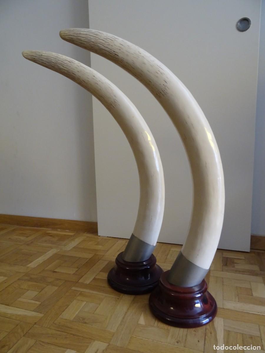 Antig&uuml;edades: PAREJA DE COLMILLOS DE ELEFANTE - Foto 7