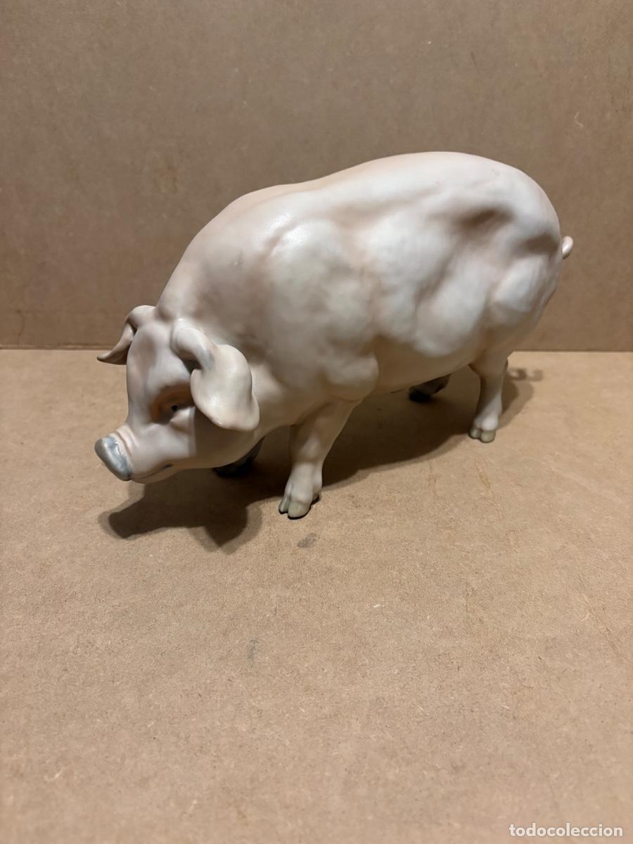 Antig&uuml;edades: Cerdo de Martinu. Marcado. - Foto 2