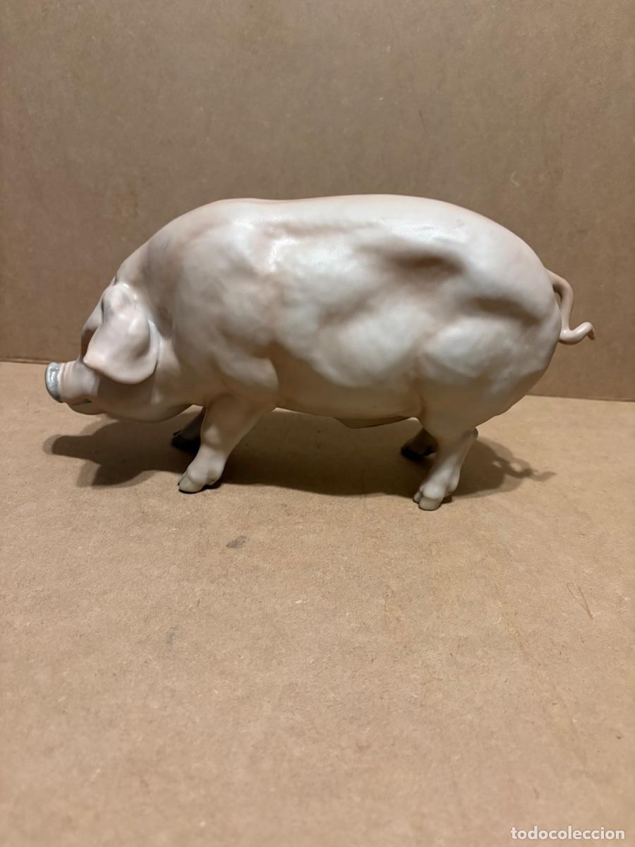 Antig&uuml;edades: Cerdo de Martinu. Marcado. - Foto 3
