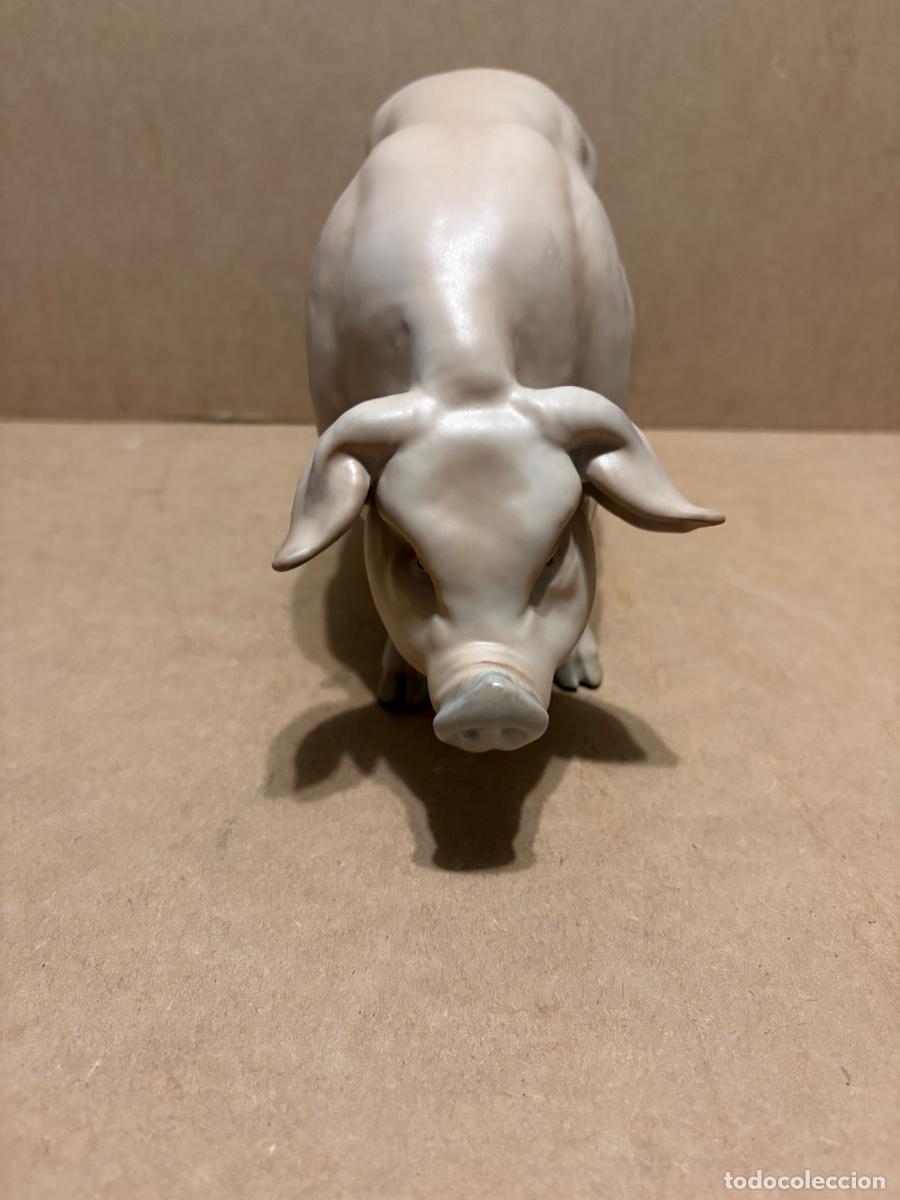 Antig&uuml;edades: Cerdo de Martinu. Marcado. - Foto 4