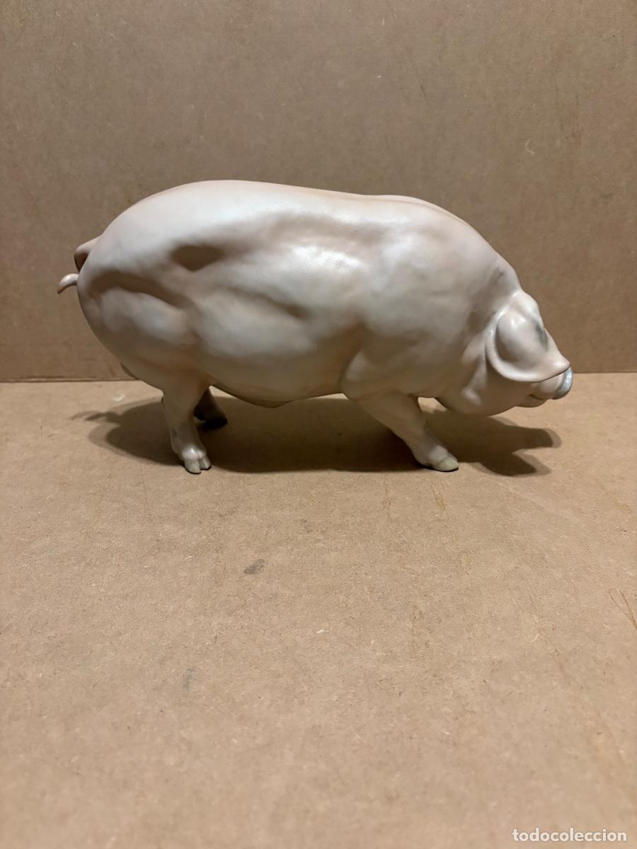 Antig&uuml;edades: Cerdo de Martinu. Marcado. - Foto 5