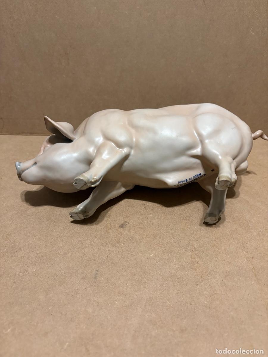 Antig&uuml;edades: Cerdo de Martinu. Marcado. - Foto 7