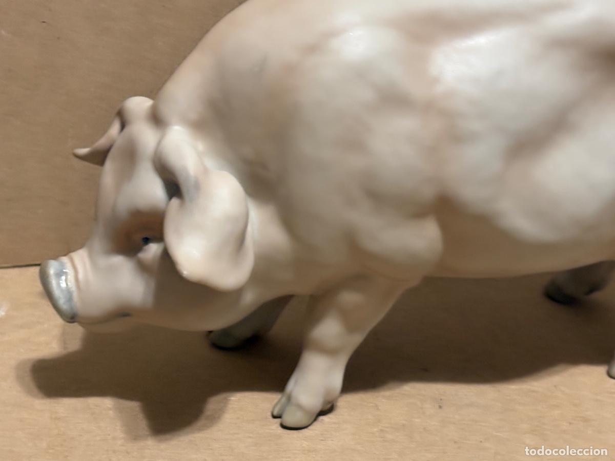 Antig&uuml;edades: Cerdo de Martinu. Marcado. - Foto 10