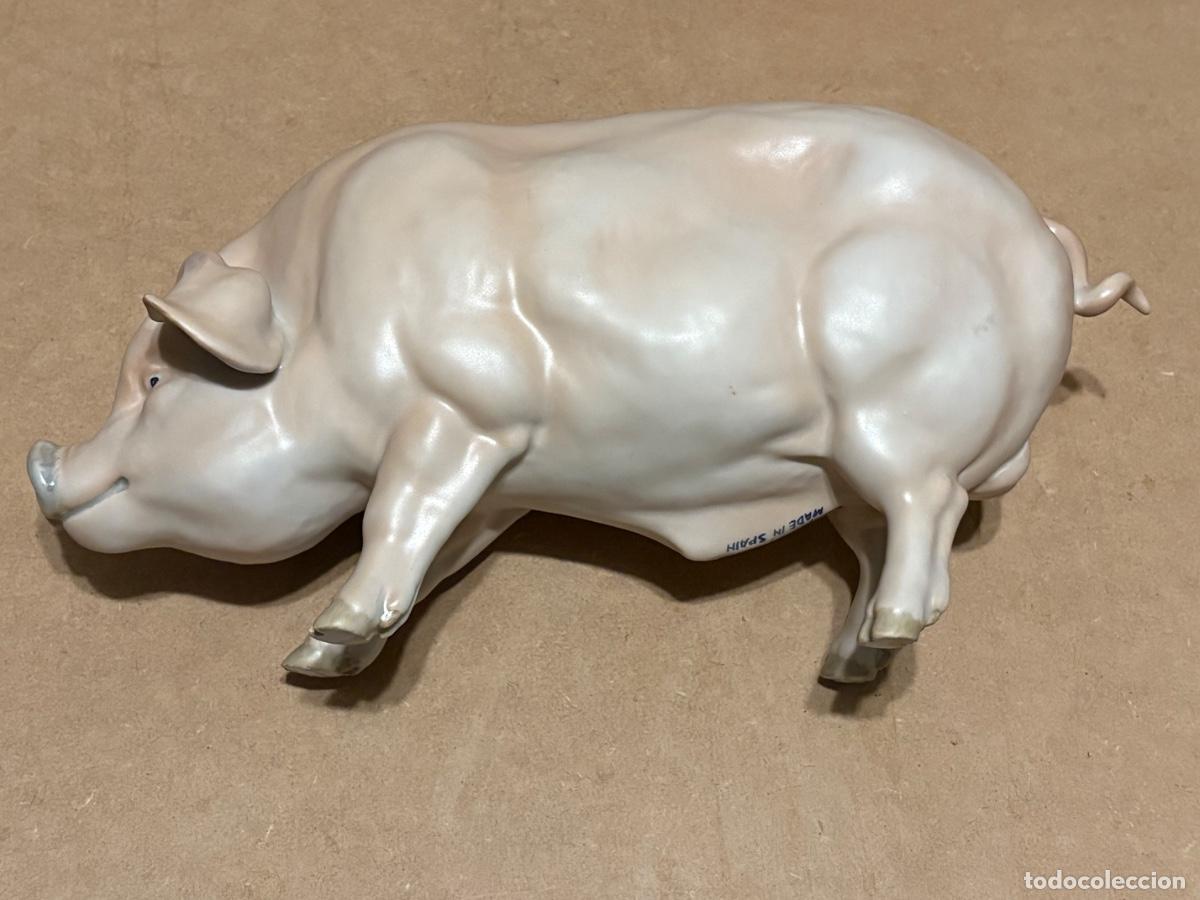 Antig&uuml;edades: Cerdo de Martinu. Marcado. - Foto 11