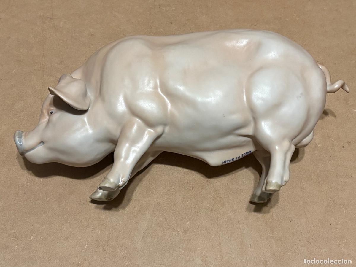 Antig&uuml;edades: Cerdo de Martinu. Marcado. - Foto 12