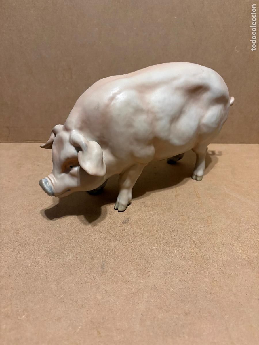 Antig&uuml;edades: Cerdo de Martinu. Marcado. - Foto 1