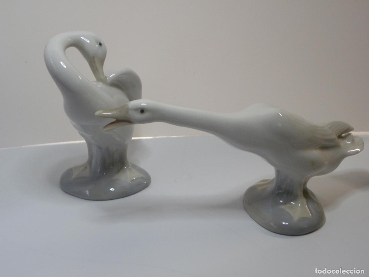 Antig&uuml;edades: PORCELA LLADRO DOS CISNES - Foto 1