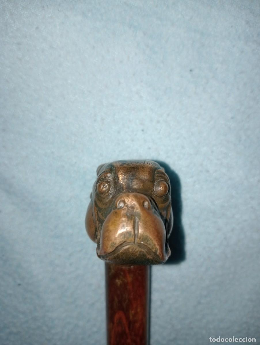 Antig&uuml;edades: Bast&oacute;n con cabeza de Buldog - Foto 2