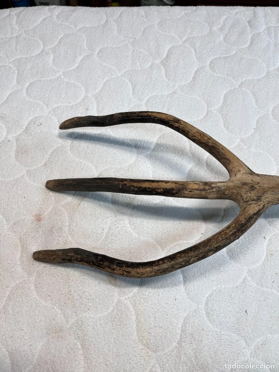 Antig&uuml;edades: HORCA O FORCA DE 3 DIENTES DE MADERA - Foto 4