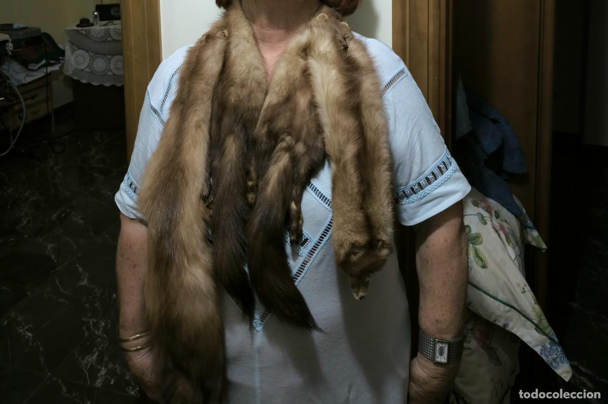 Antig&uuml;edades: ESTOLA DE MARTAS CIBELINAS - Foto 3