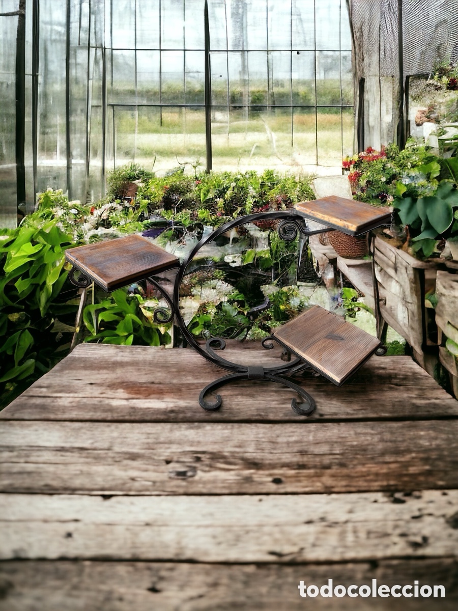 Antig&uuml;edades: M&eacute;nsula para plantas de forja y madera - Foto 2