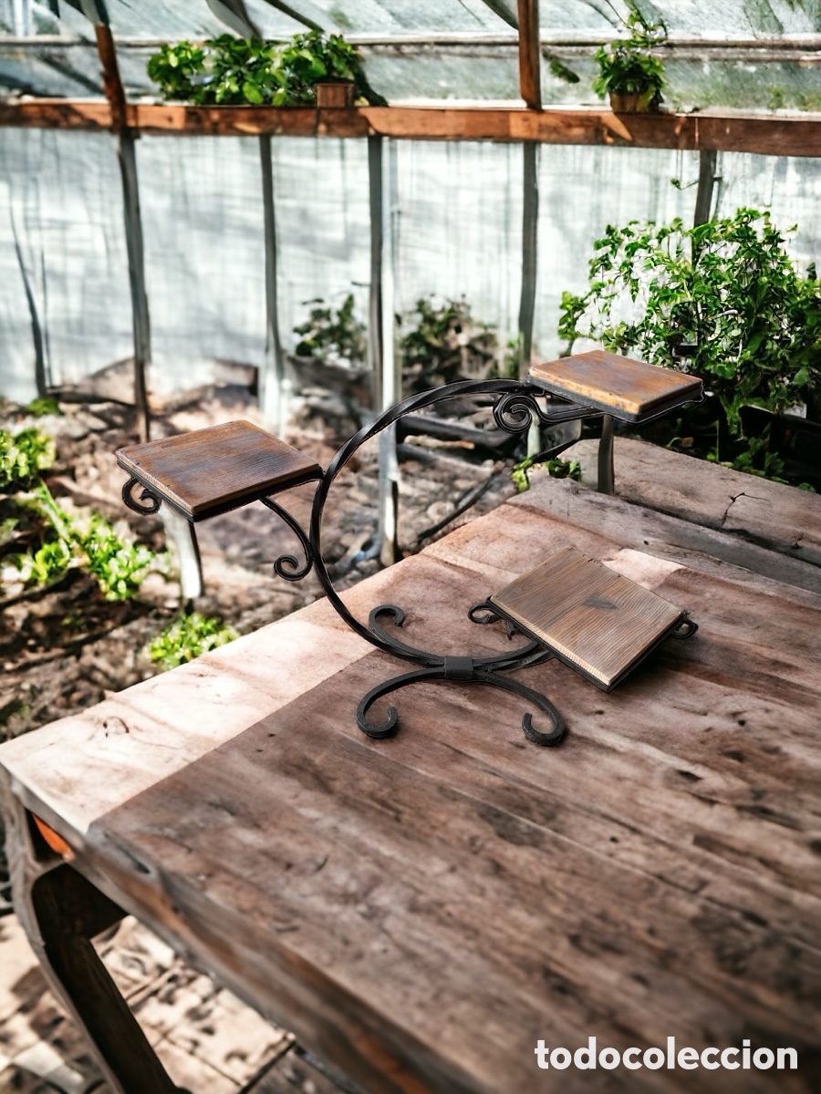 Antig&uuml;edades: M&eacute;nsula para plantas de forja y madera - Foto 1