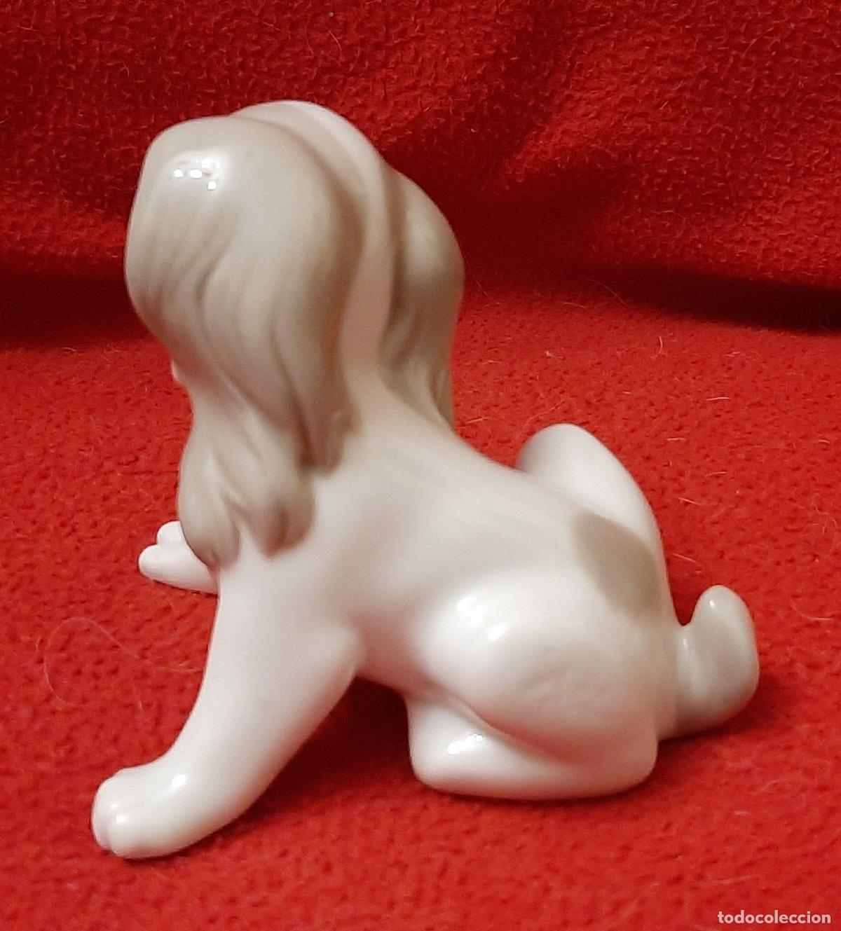 Antig&uuml;edades: PERRO PERRITO LLADRO - Foto 3