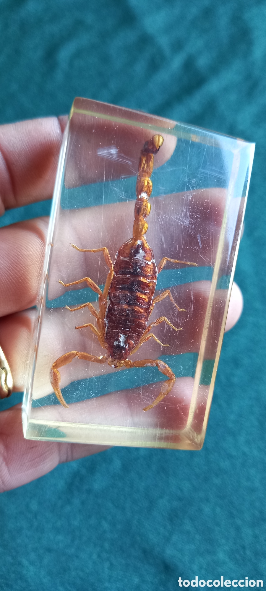 Antig&uuml;edades: ESCORPION DORADO CHINA - Foto 3