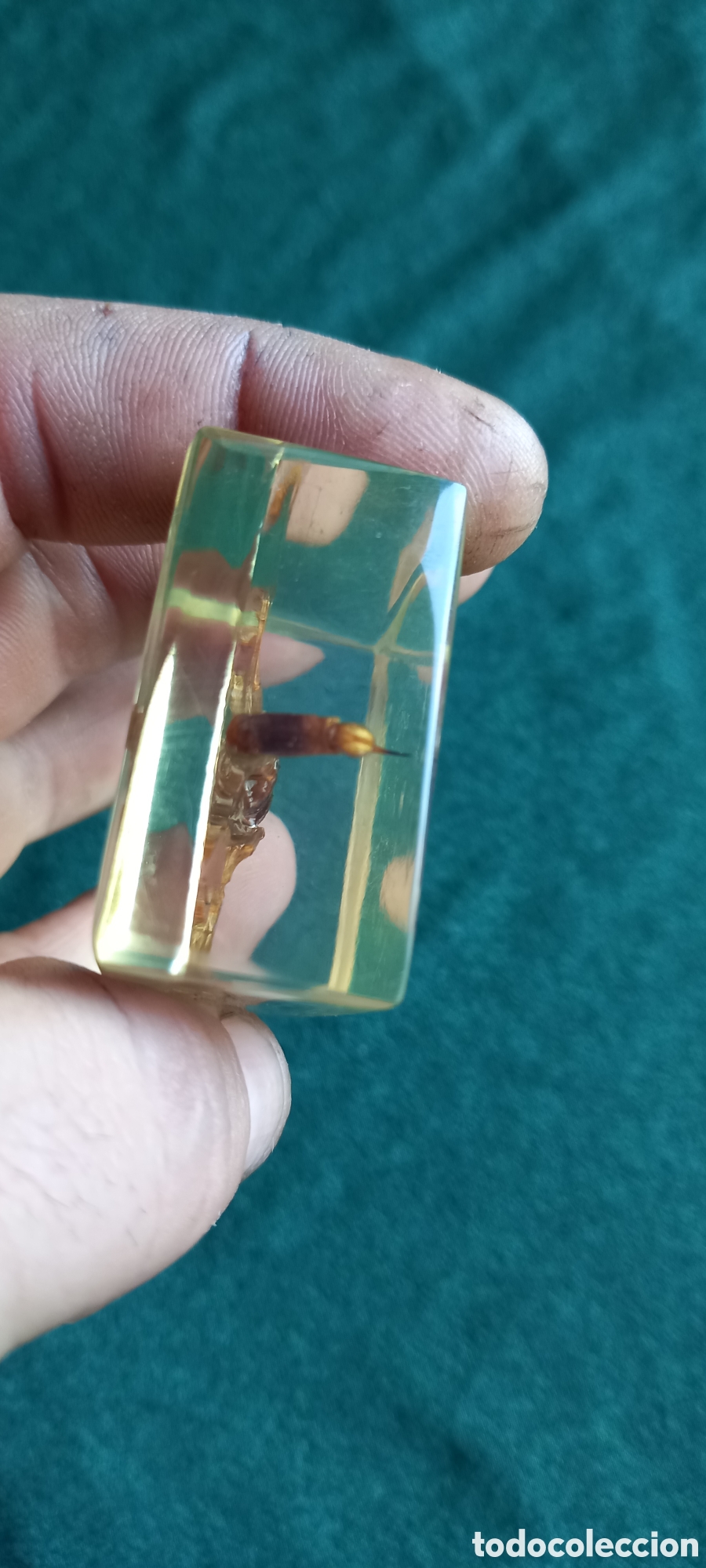 Antig&uuml;edades: ESCORPION DORADO CHINA - Foto 6