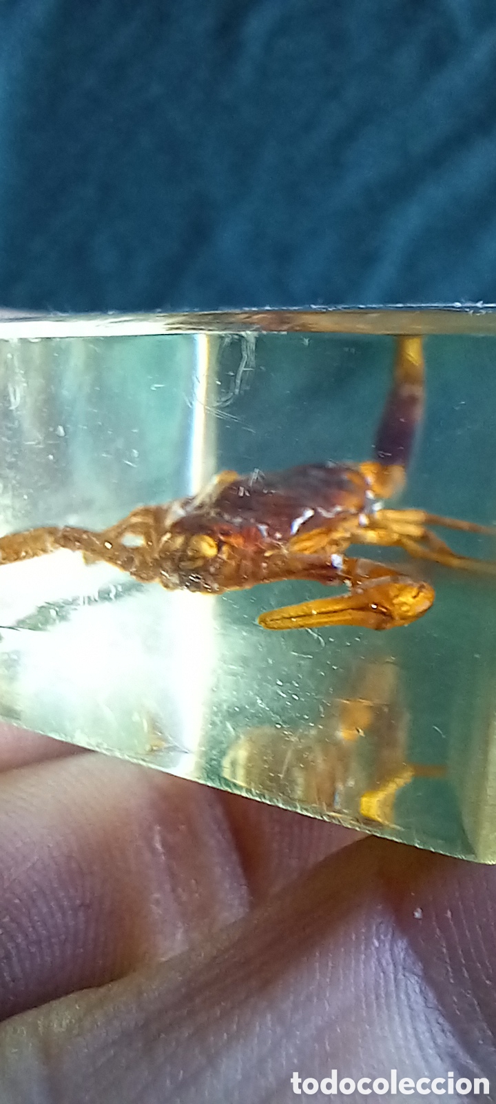 Antig&uuml;edades: ESCORPION DORADO CHINA - Foto 9