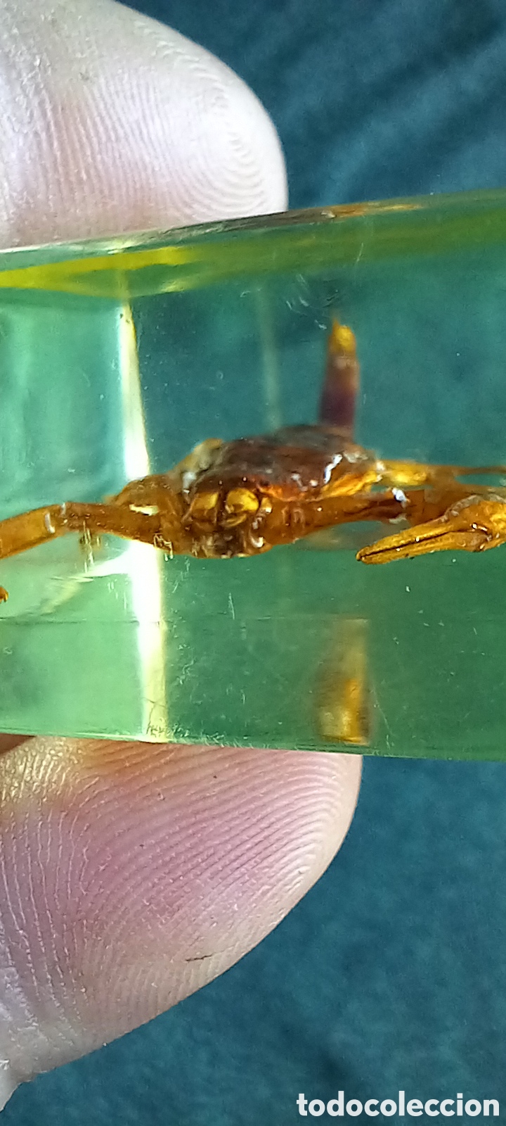 Antig&uuml;edades: ESCORPION DORADO CHINA - Foto 14