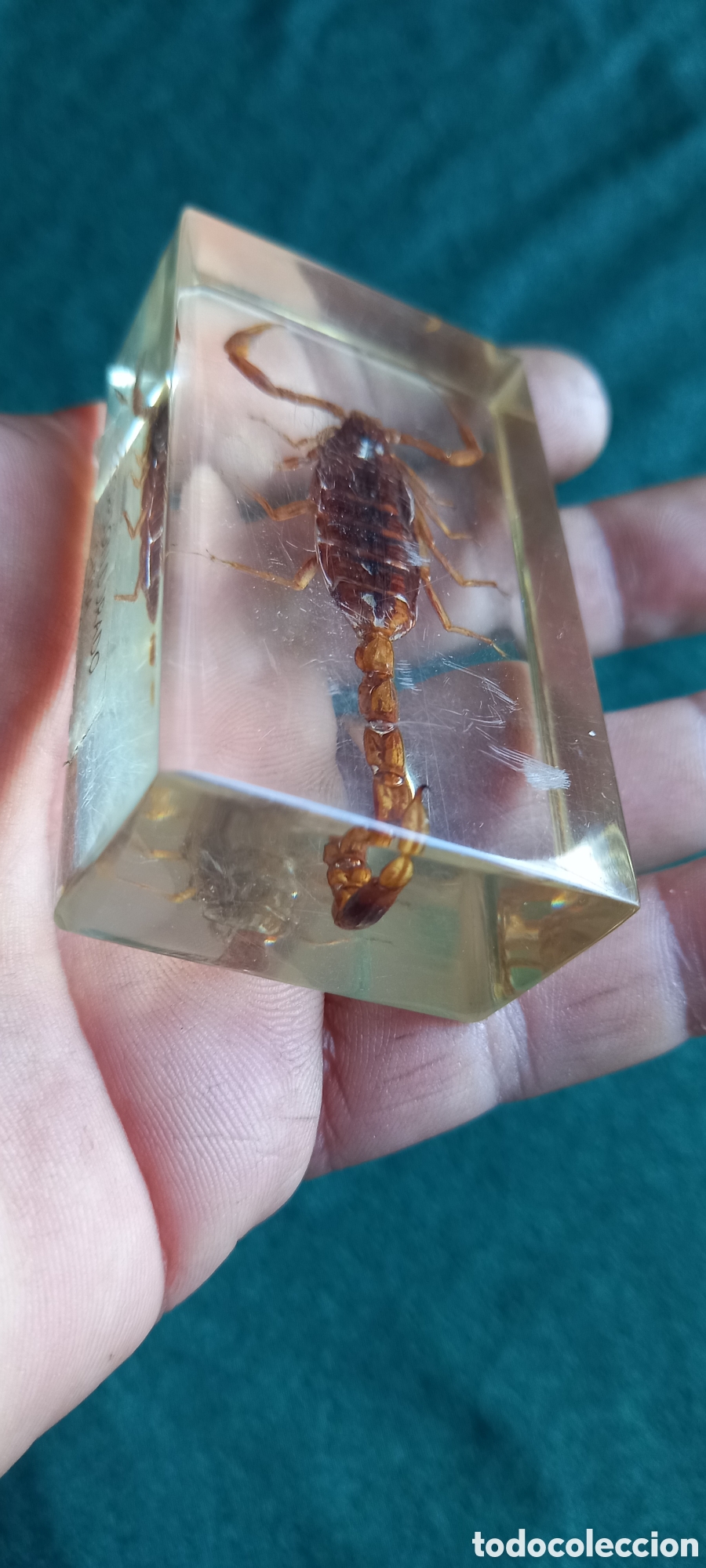 Antig&uuml;edades: ESCORPION DORADO CHINA - Foto 15