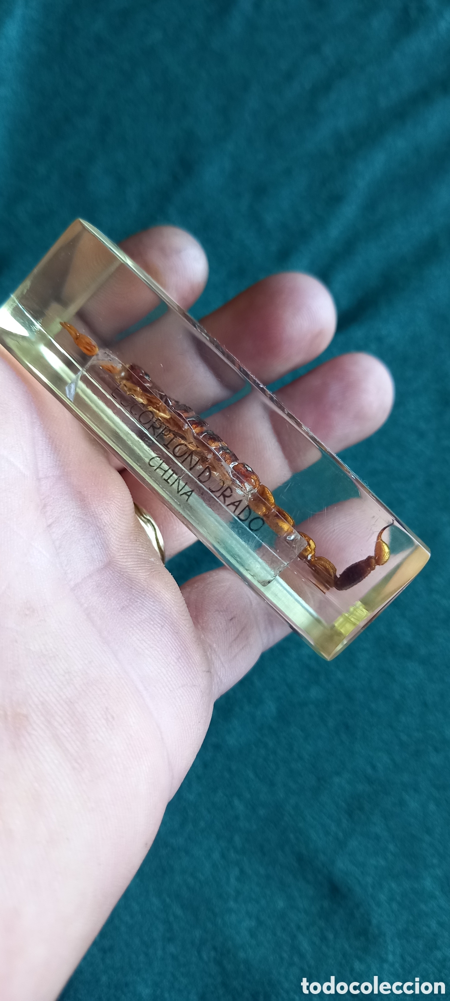 Antig&uuml;edades: ESCORPION DORADO CHINA - Foto 16