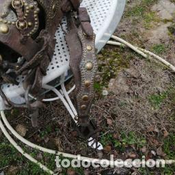 Antiguidades: cabezada de tiro de mulilla muy decorativa propia de museo.