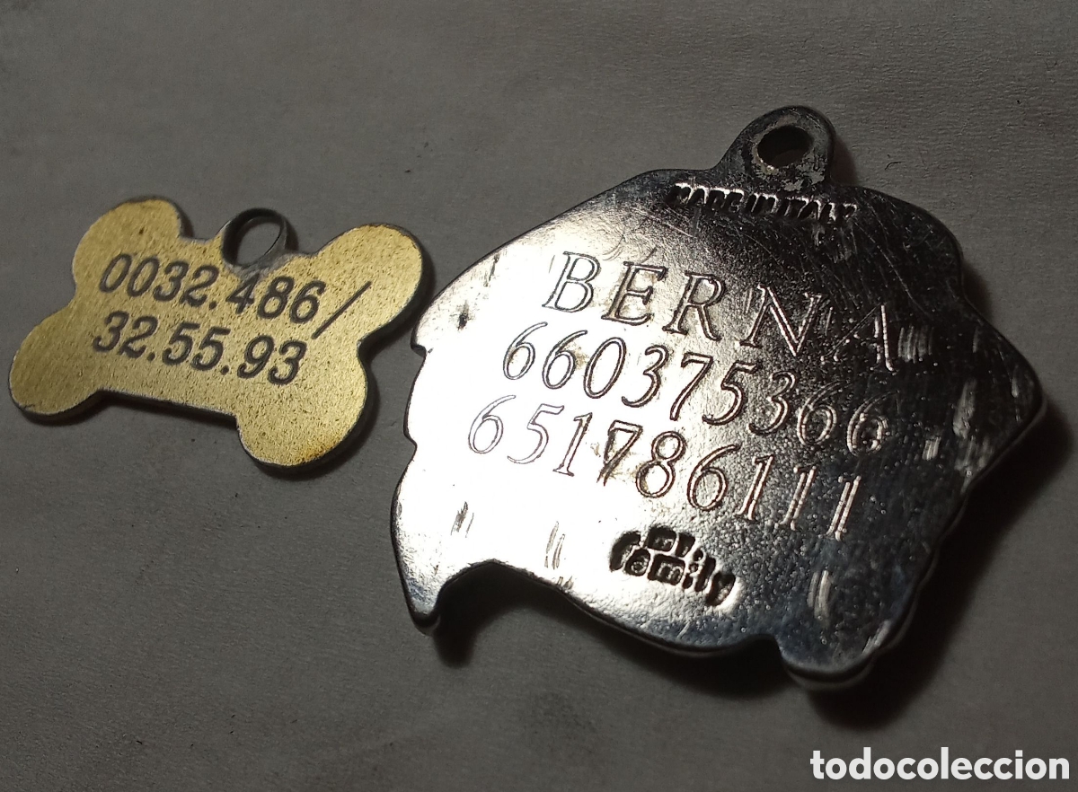 Antig&uuml;edades: DOS MEDALLAS DE PERRO - Foto 2