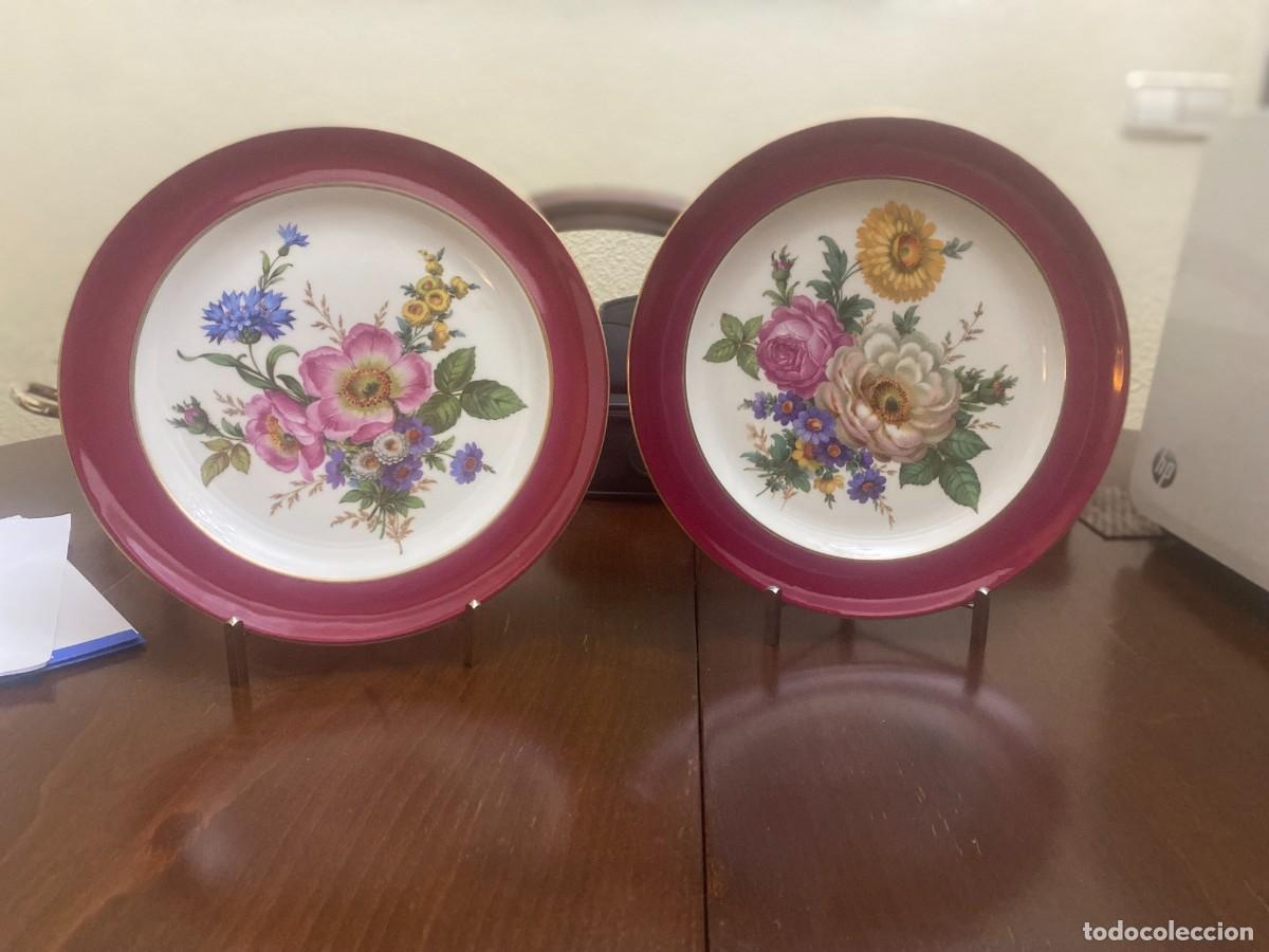 Antig&uuml;edades: Platos Limoges. 25 cm - Foto 2