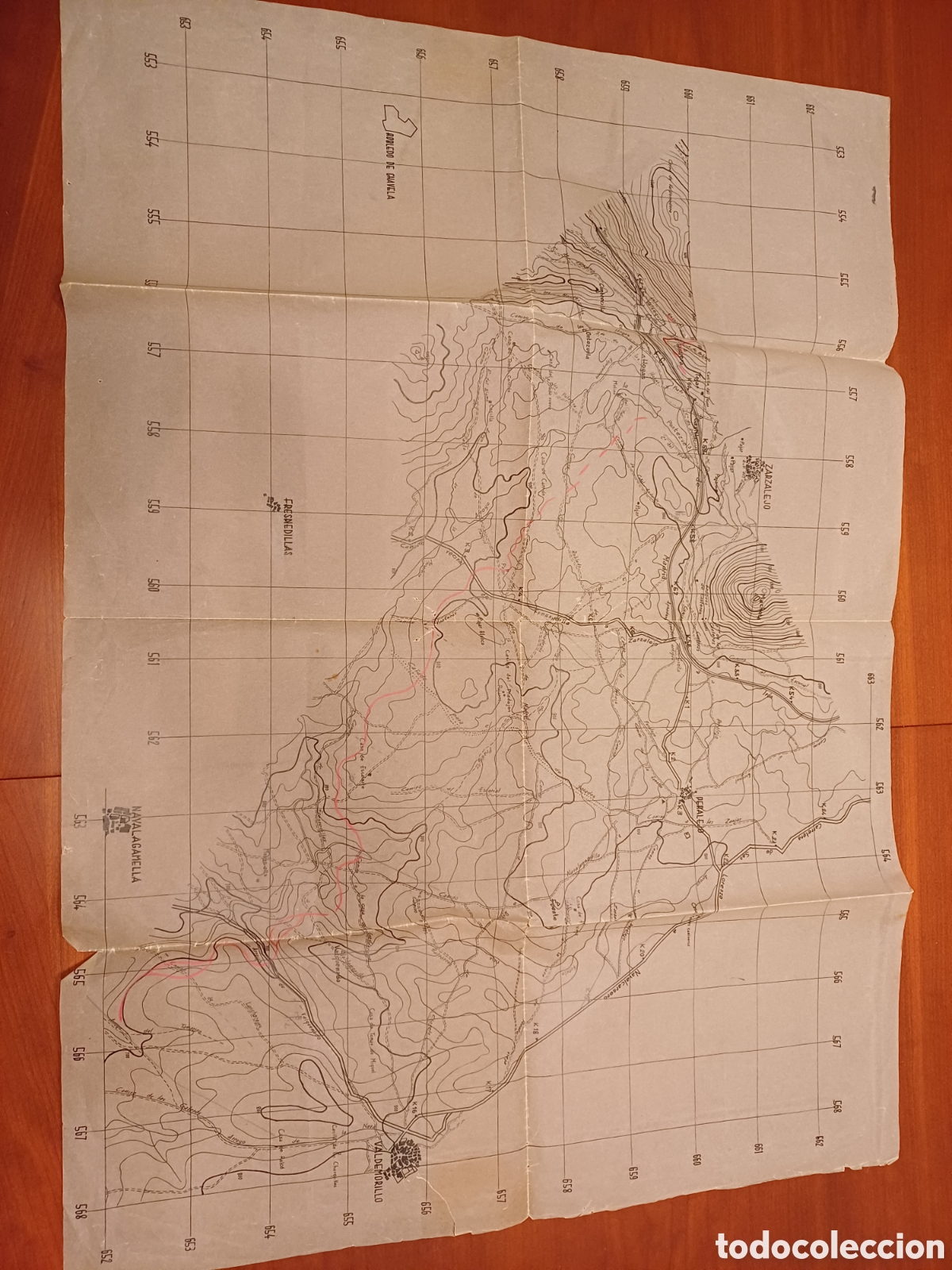 Antig&uuml;edades: Mapa antiguo en papel vegetal - Foto 2