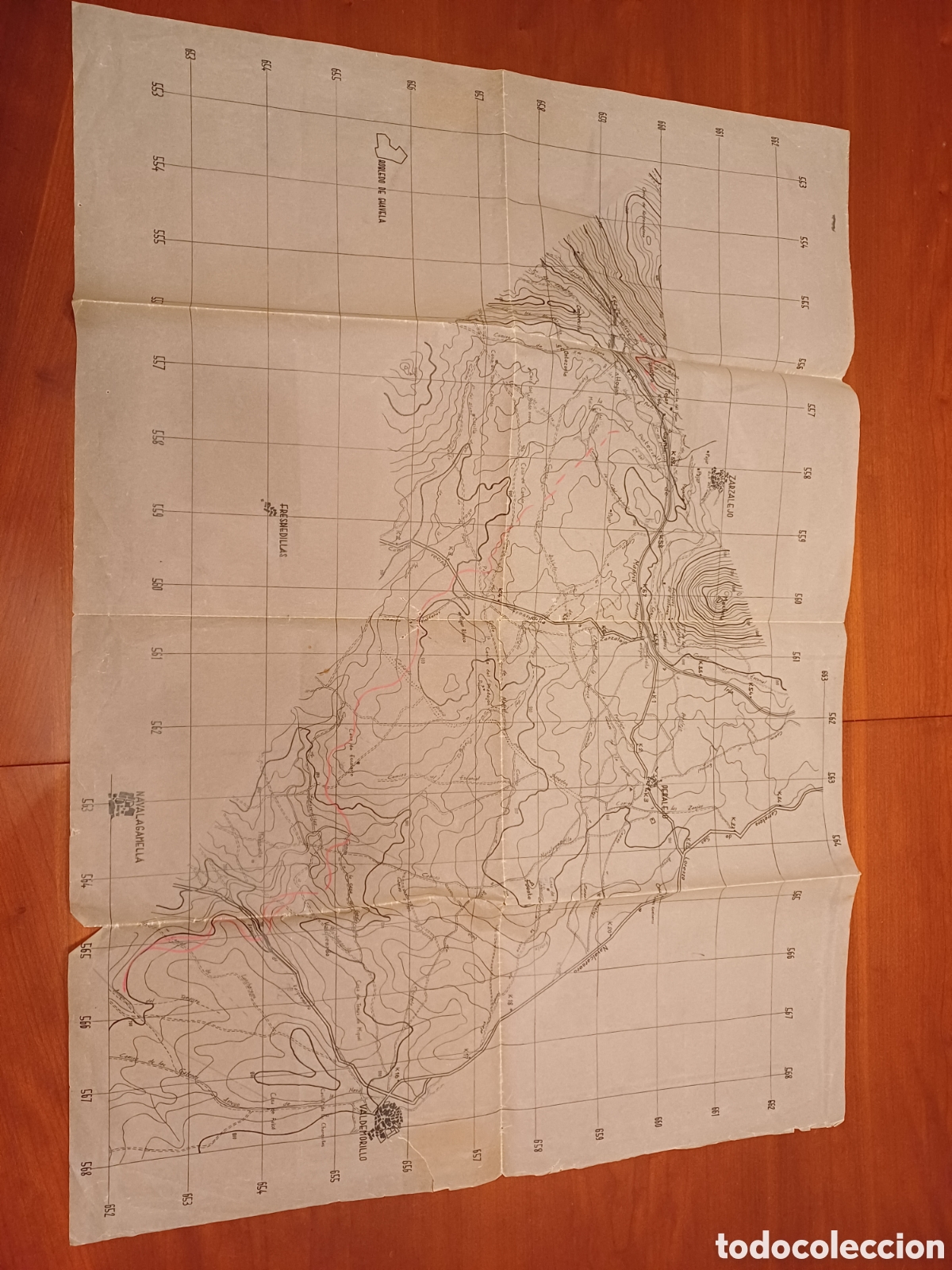 Antig&uuml;edades: Mapa antiguo en papel vegetal - Foto 1