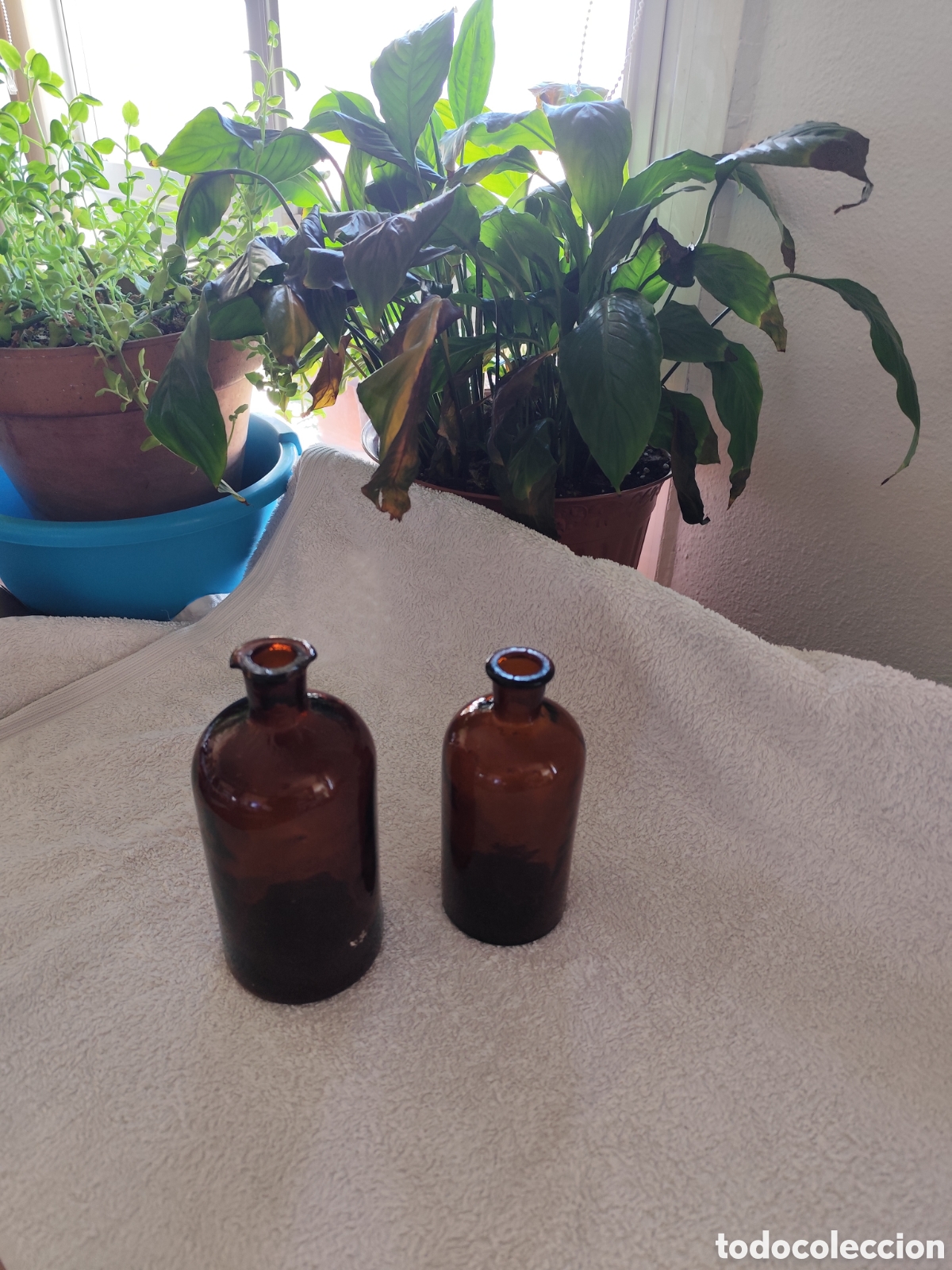 Antig&uuml;edades: Botellas de vidrio marron - Foto 1