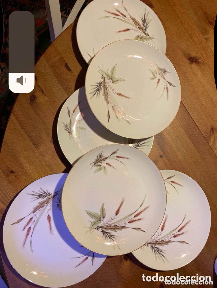 Antig&uuml;edades: 6 platos llanos BIDASOA - Foto 3