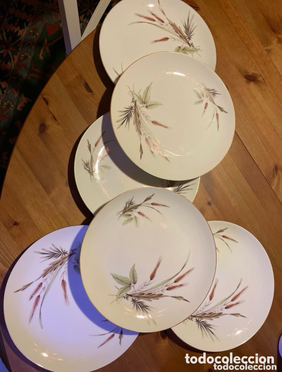 Antig&uuml;edades: 6 platos llanos BIDASOA - Foto 4