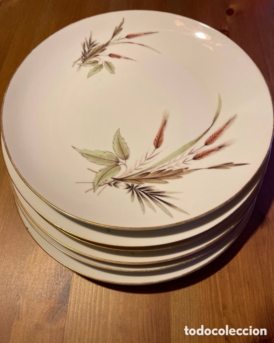 Antig&uuml;edades: 6 platos llanos BIDASOA - Foto 1