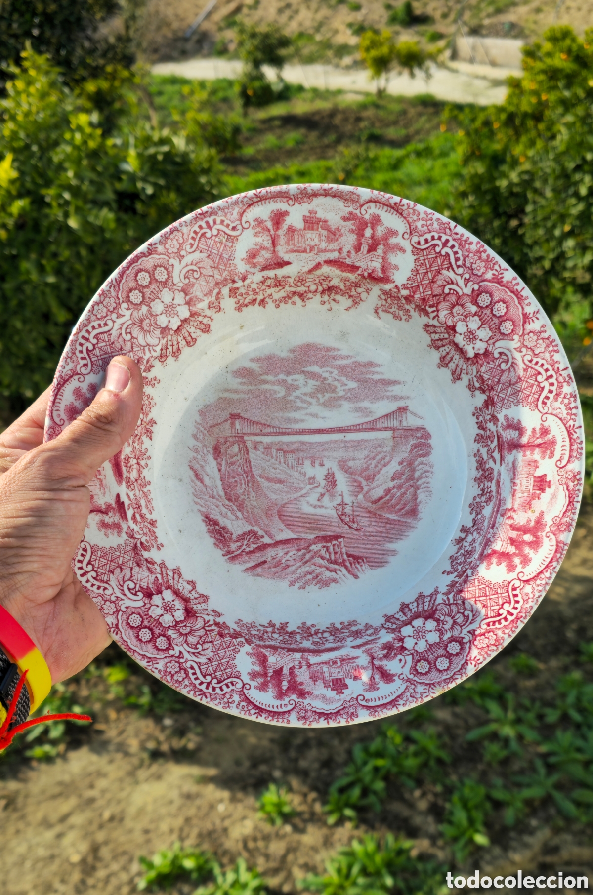 Antig&uuml;edades: Plato colecci&oacute;n Pickman - Foto 7