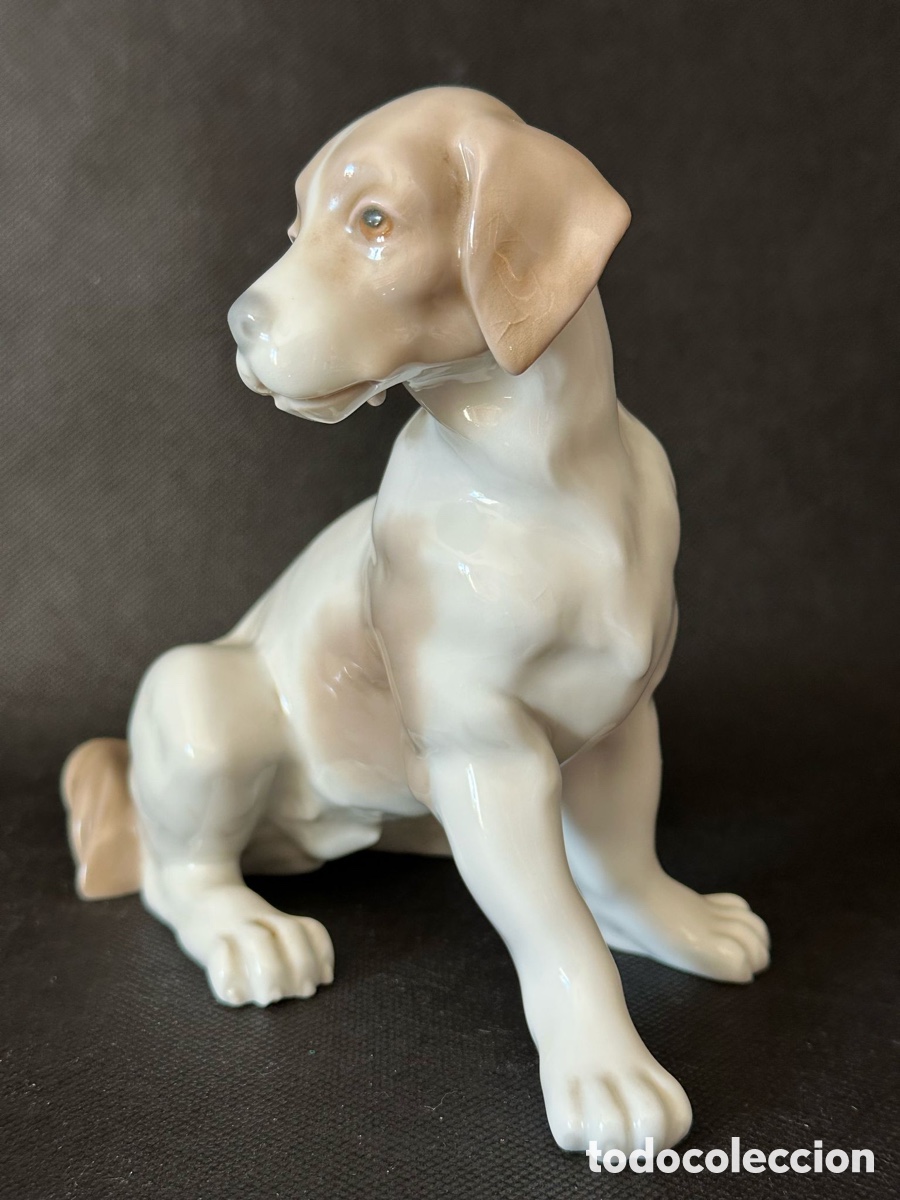 Antig&uuml;edades: Perro de cer&aacute;mica Nao by Lladr&oacute;. - Foto 3