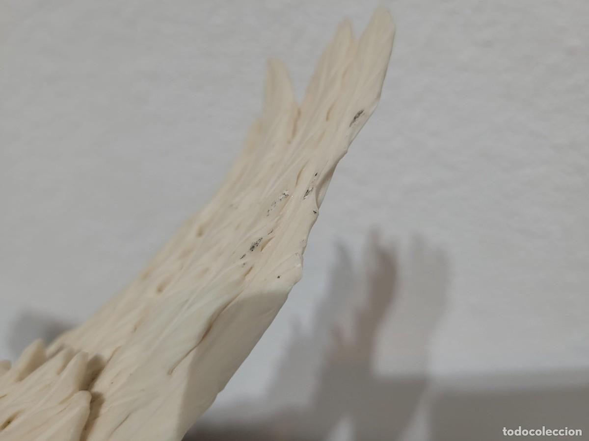 Antig&uuml;edades: Pareja de palomas blancas de Giuseppe Armani - Foto 11