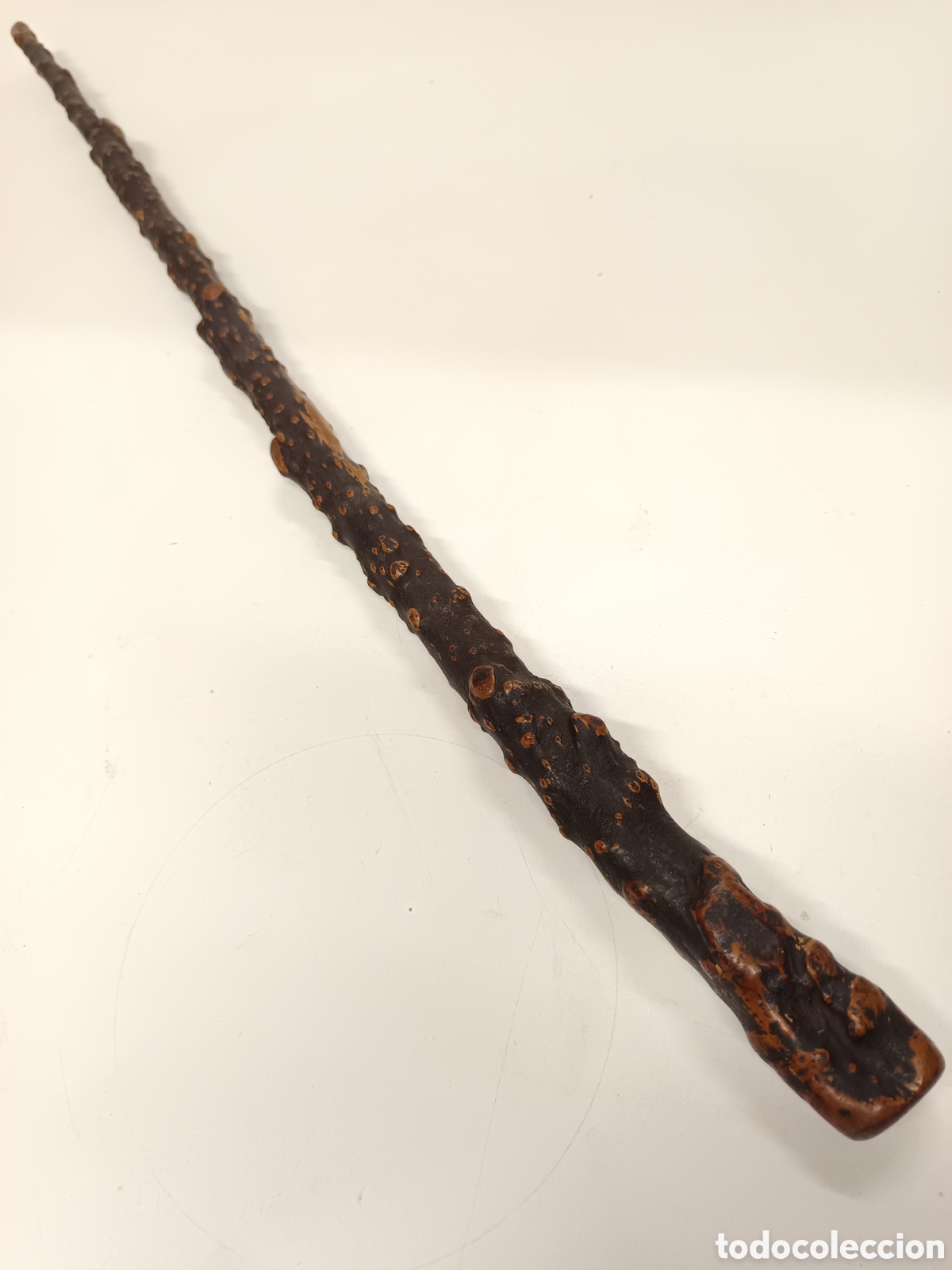 Antig&uuml;edades: Antiguo bast&oacute;n de madera Shillelagh - Foto 3