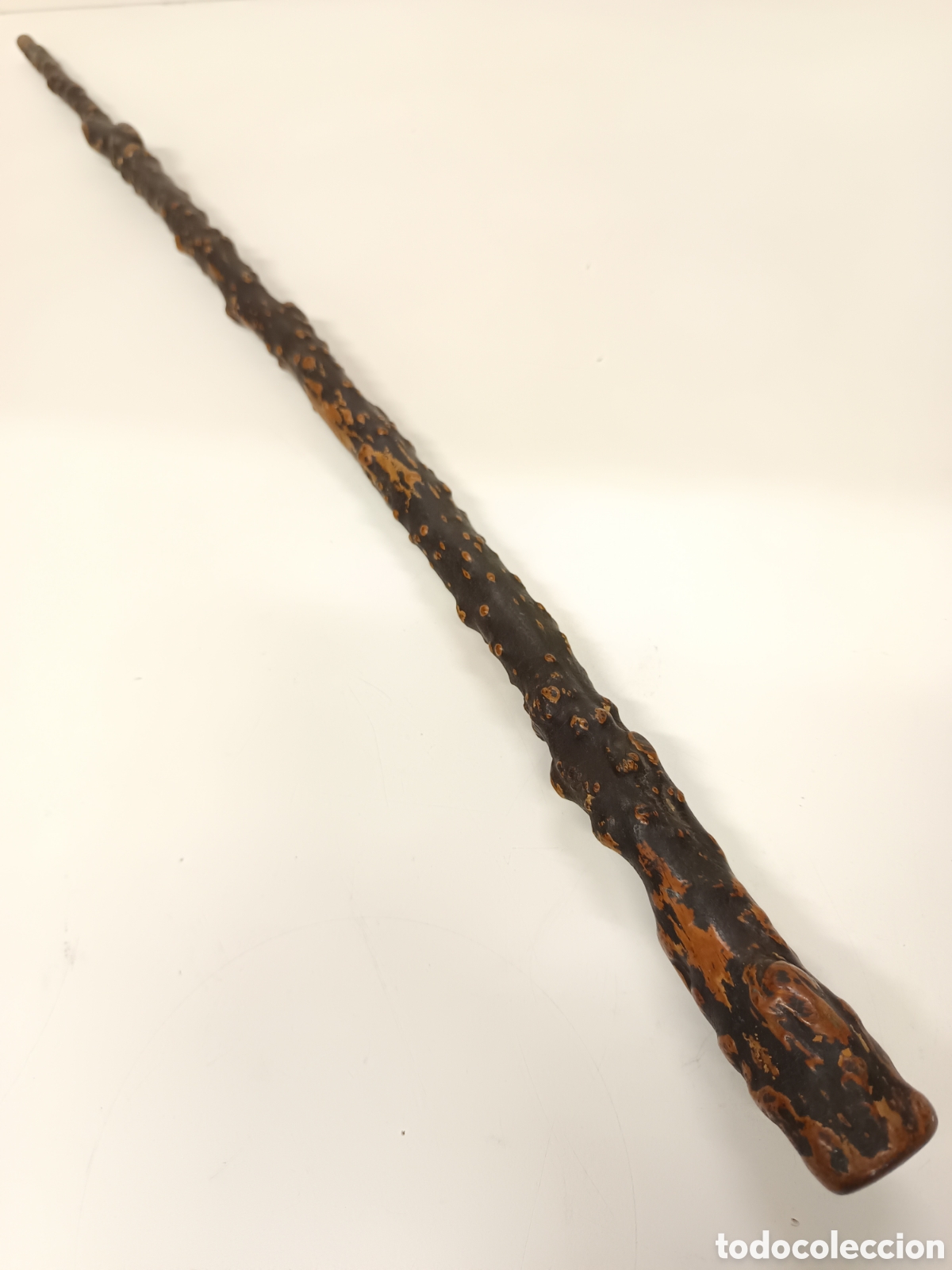 Antig&uuml;edades: Antiguo bast&oacute;n de madera Shillelagh - Foto 4
