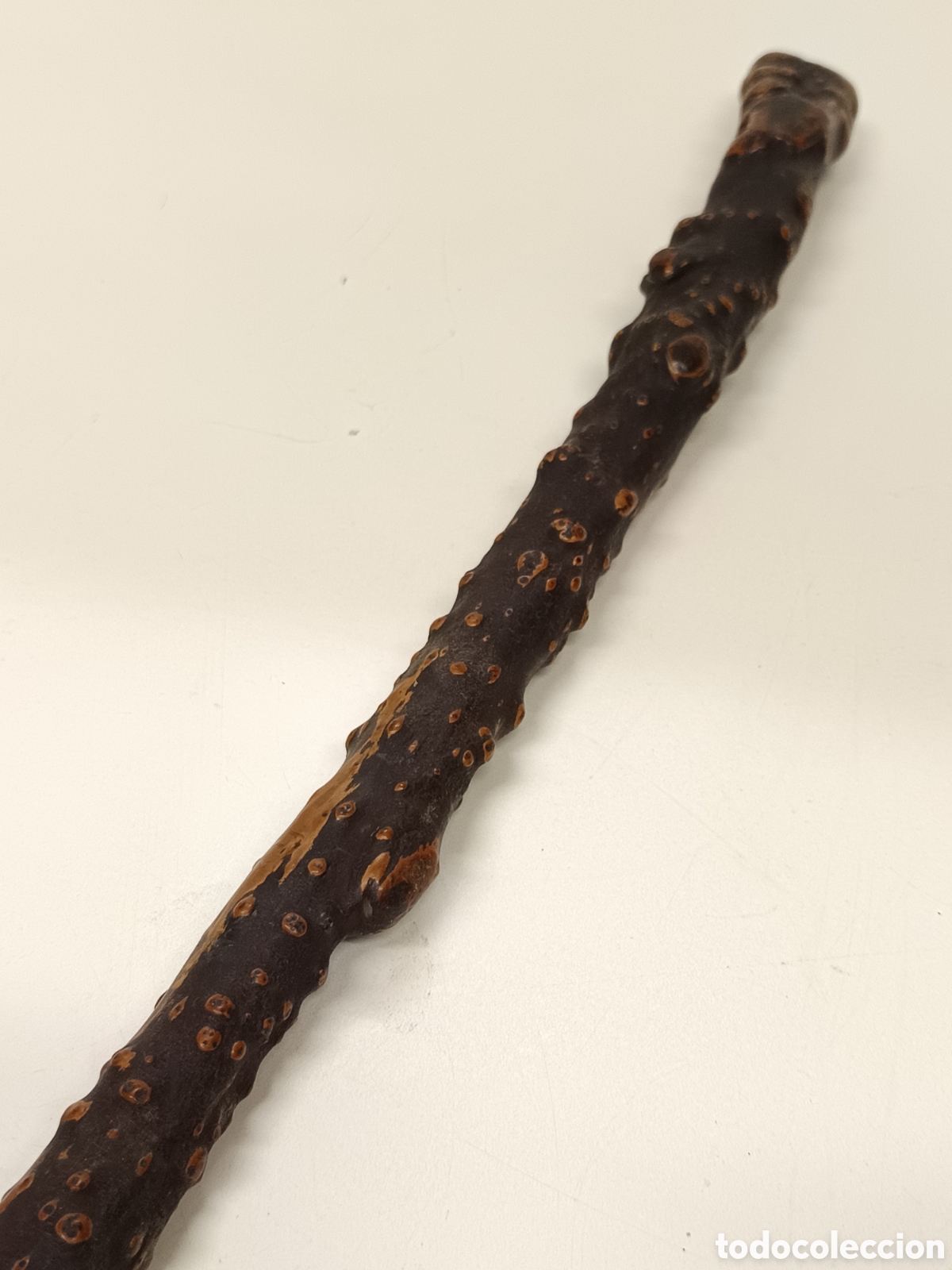 Antig&uuml;edades: Antiguo bast&oacute;n de madera Shillelagh - Foto 5