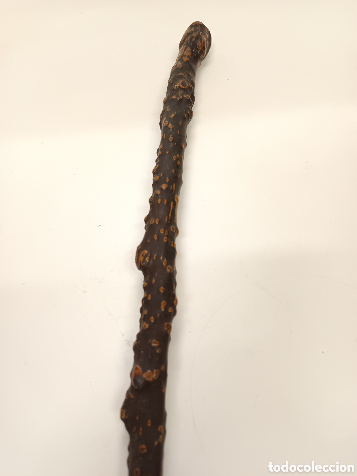 Antig&uuml;edades: Antiguo bast&oacute;n de madera Shillelagh - Foto 6