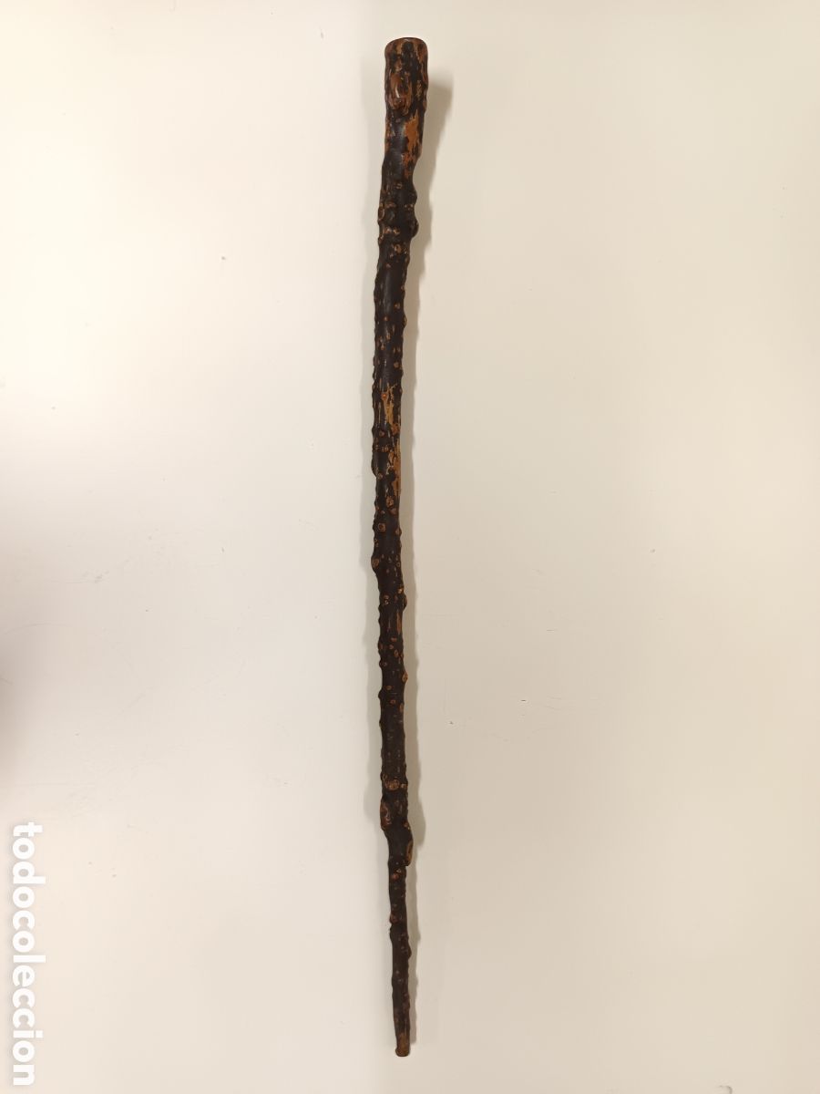 Antig&uuml;edades: Antiguo bast&oacute;n de madera Shillelagh - Foto 1