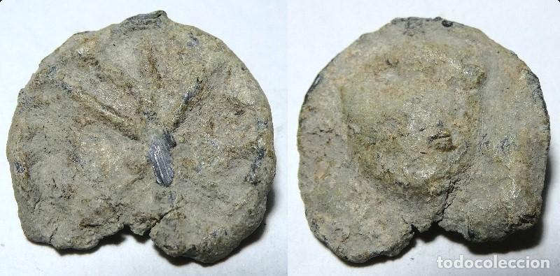 Antig&uuml;edades: Antiguo plomo monetiforme de las minas ,mide 2,2 cm - Foto 1