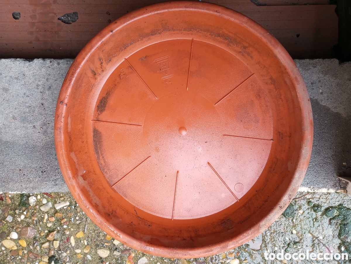 Antig&uuml;edades: 10 Platos para Macetas de pl&aacute;stico marr&oacute;n - Foto 1