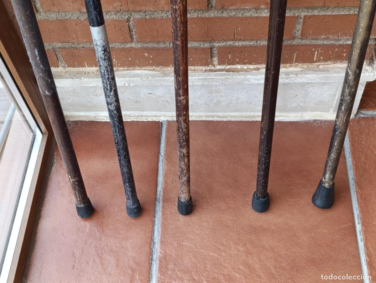 Antig&uuml;edades: COLECCION DE BASTONES EN MADERA. - Foto 5
