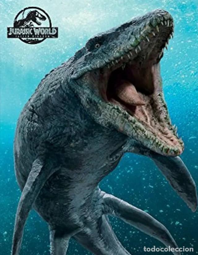 Antig&uuml;edades: F&oacute;sil Diente Dinosaurio Mosasaurus - Foto 6
