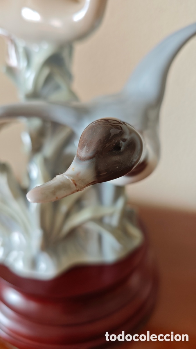 Antig&uuml;edades: Lladr&oacute; Patos al Vuelo - Foto 3