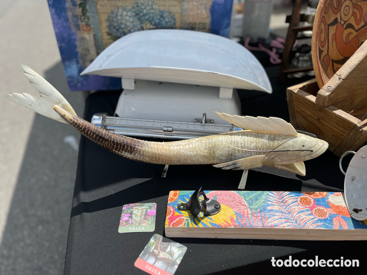 Antig&uuml;edades: Carpa de hueso a&ntilde;os 60 - Foto 4