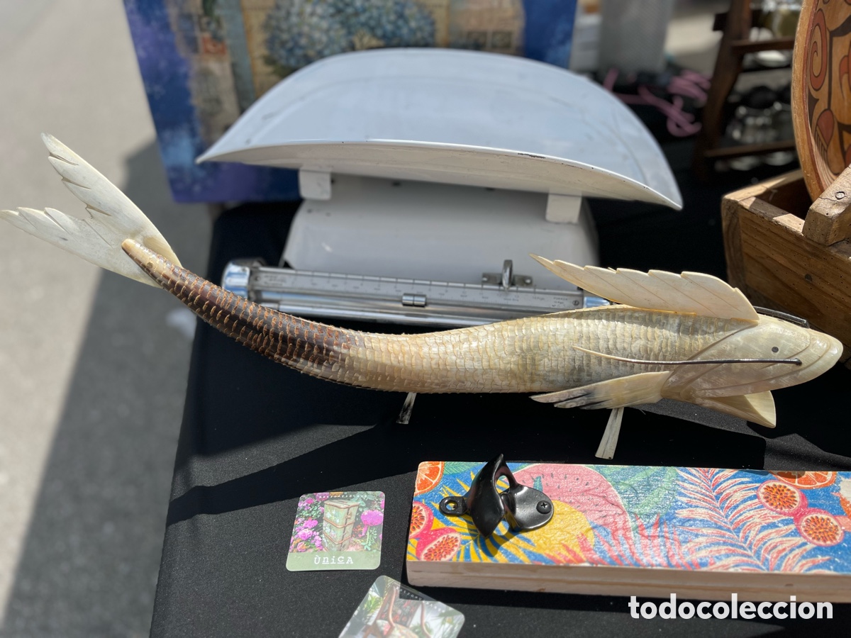 Antig&uuml;edades: Carpa de hueso a&ntilde;os 60 - Foto 5