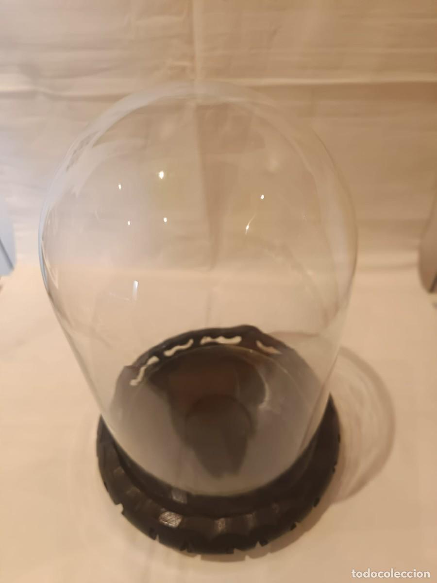 Antig&uuml;edades: globo con peana para exposici&oacute;n - Foto 3