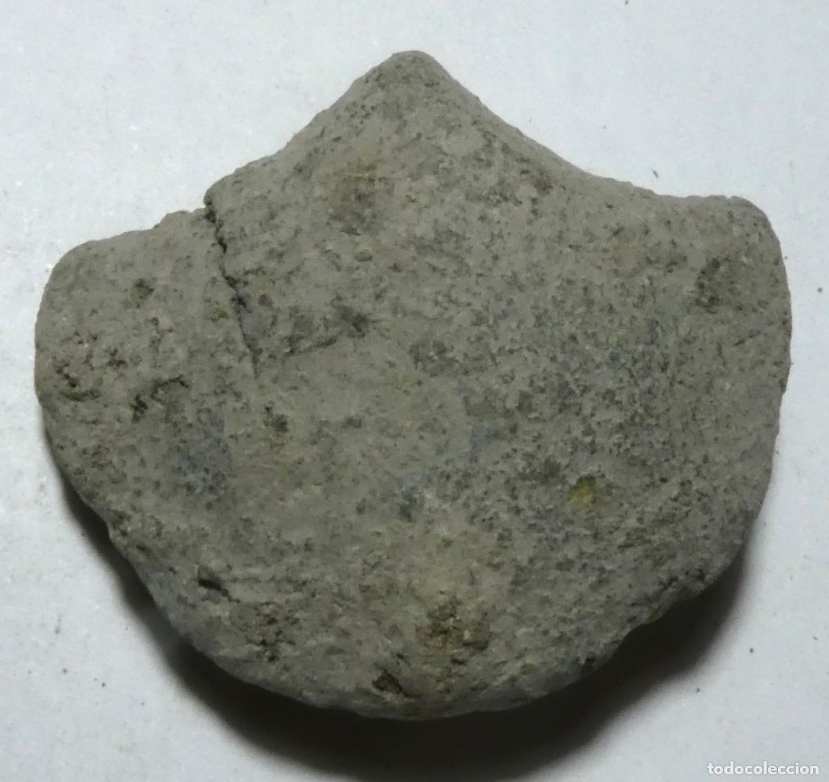 Antiguo aplique con forma de concha sin limpiar